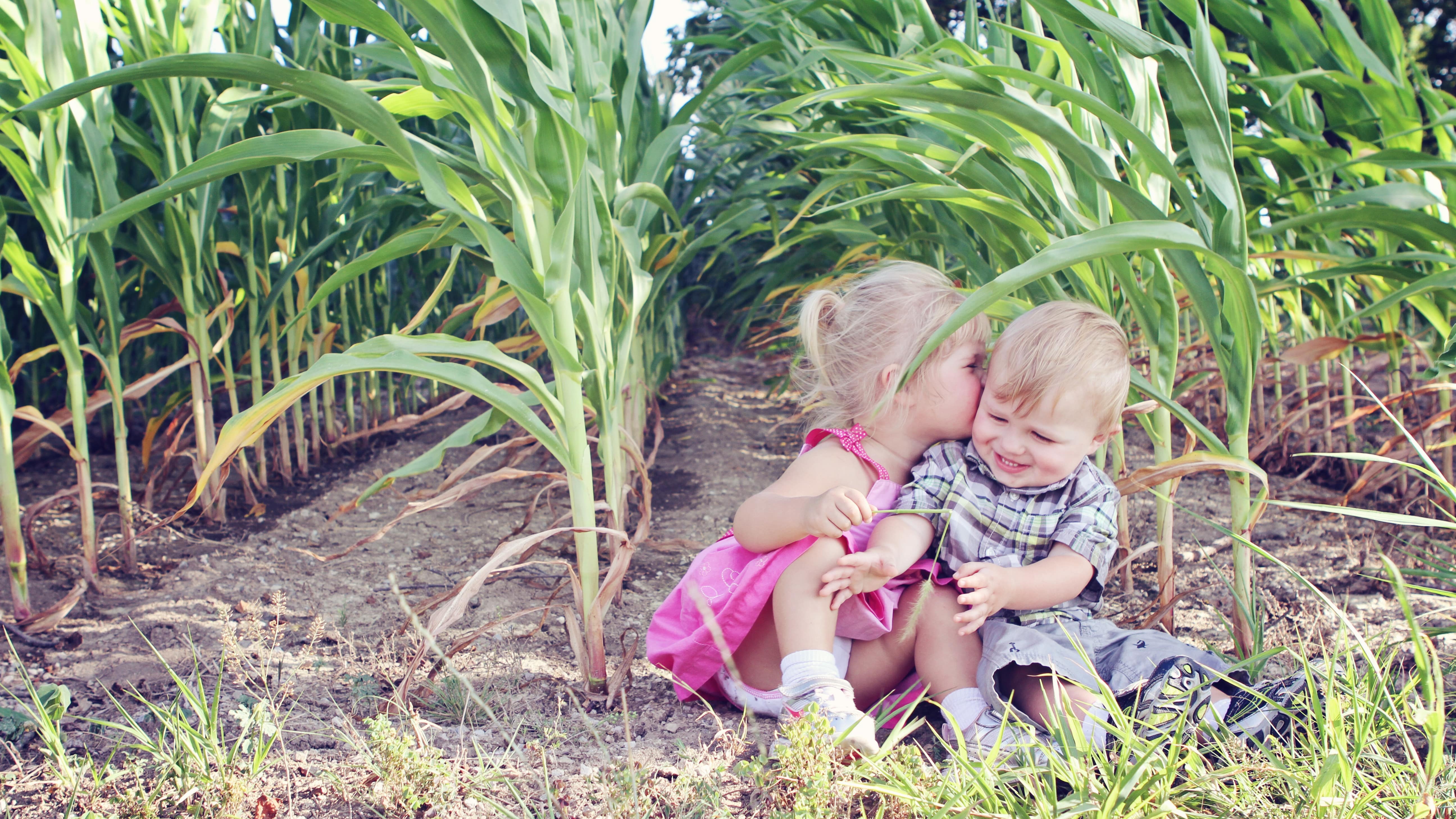 vue sur deux enfants assis devant un champ de maïs