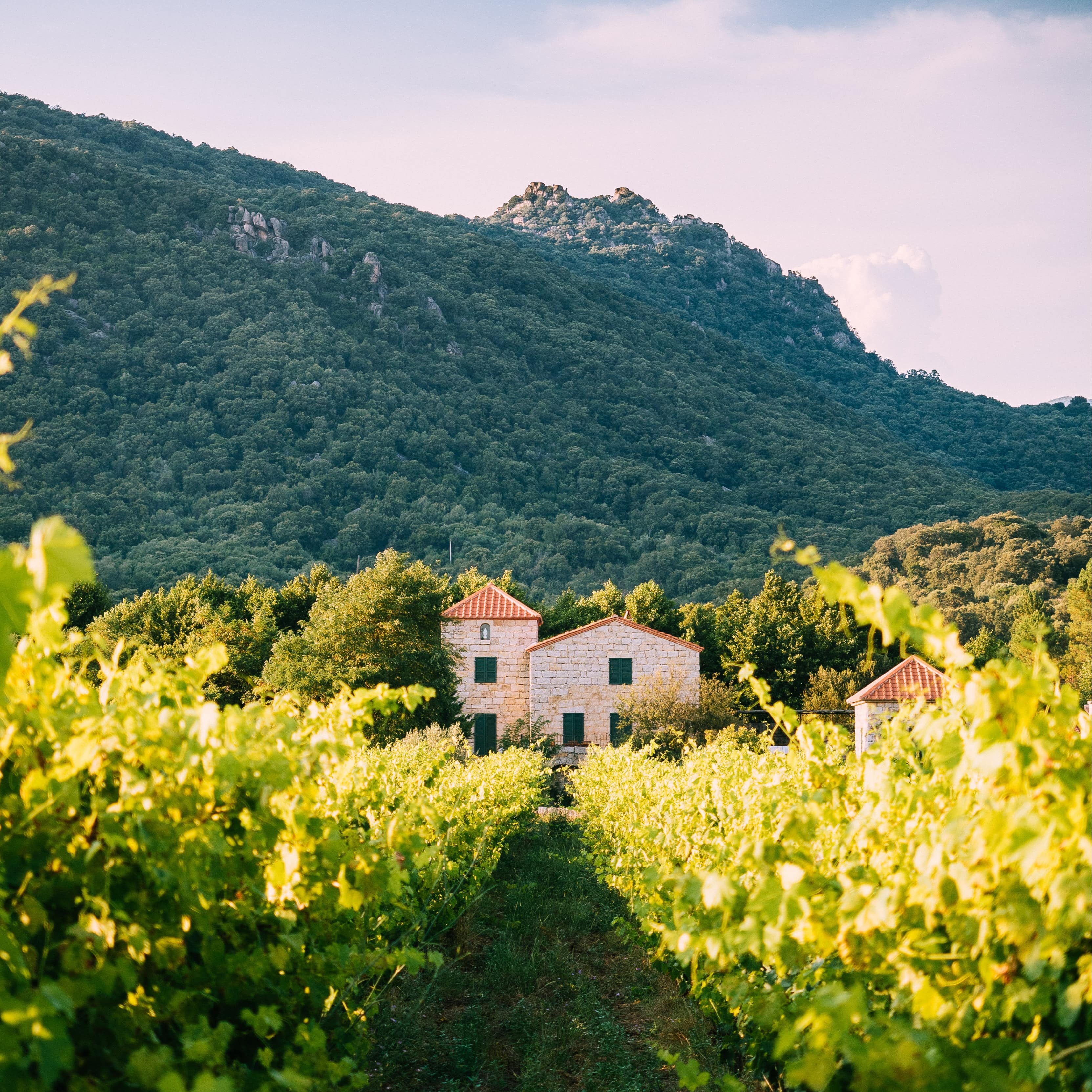 Offrez-vous un séjour dans une villa avec piscine en Corse et admirez les merveilles que vous réserve l’île de beauté.