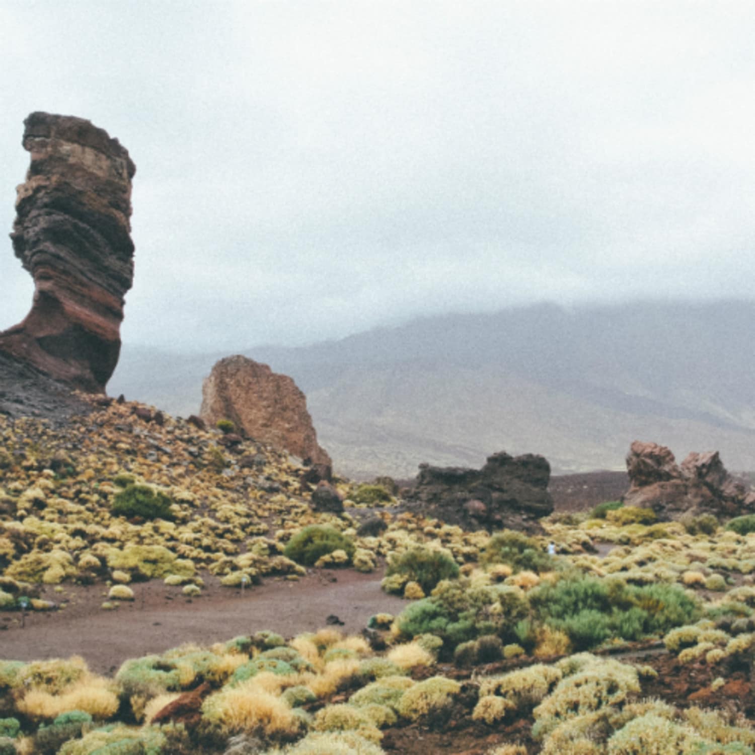 Paysages des îles Canaries